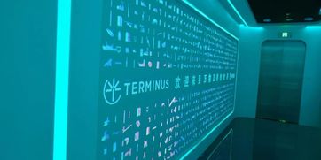 走進(jìn)特斯聯(lián)，領(lǐng)略萬(wàn)物互聯(lián)新時(shí)代